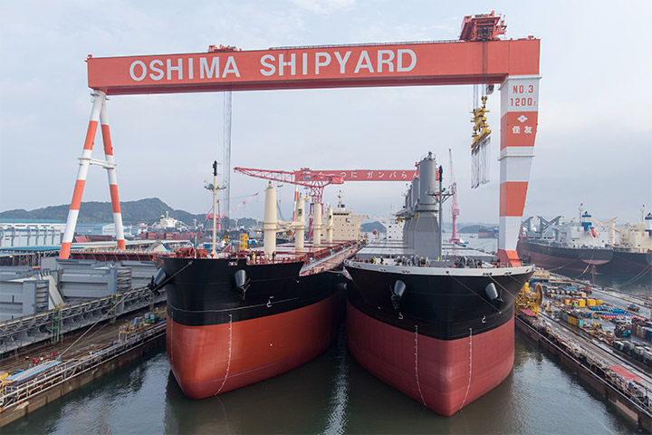 Deepening the customer value through specialization in bulk carriers